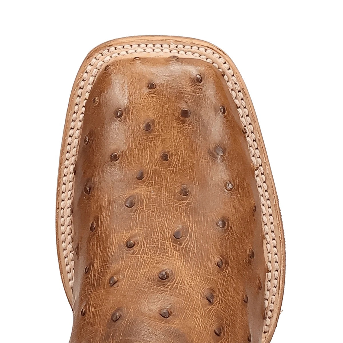 Dan Post Men's Drayden Full Quill Ostrich Boots, DP5267